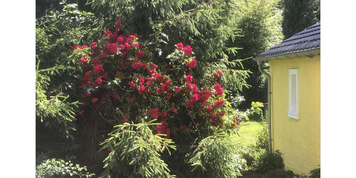 Villa Schleiden - 5 Zimmer, 170 m&sup2;, 1.900&euro; | Angebot:23928329