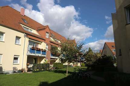 Wohnung Müncheberg - 2 Zimmer, 77 m&sup2;, 740&euro; | Angebot:23225702