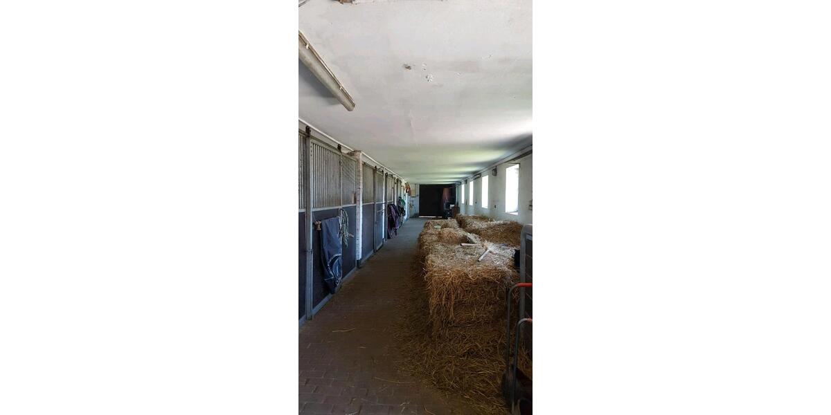 Erdgeschoßwohnung Henstedt-Ulzburg Ulzburg - 1 Zimmer, 30 m&sup2;, 650&euro; | Angebot:26310556