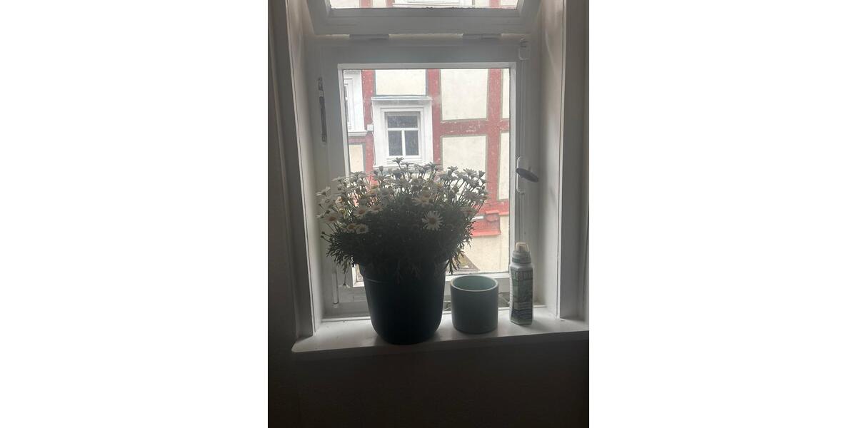Wohnen auf Zeit Marburg - 1 Zimmer, 18 m&sup2;, 500&euro; | Angebot:26591857