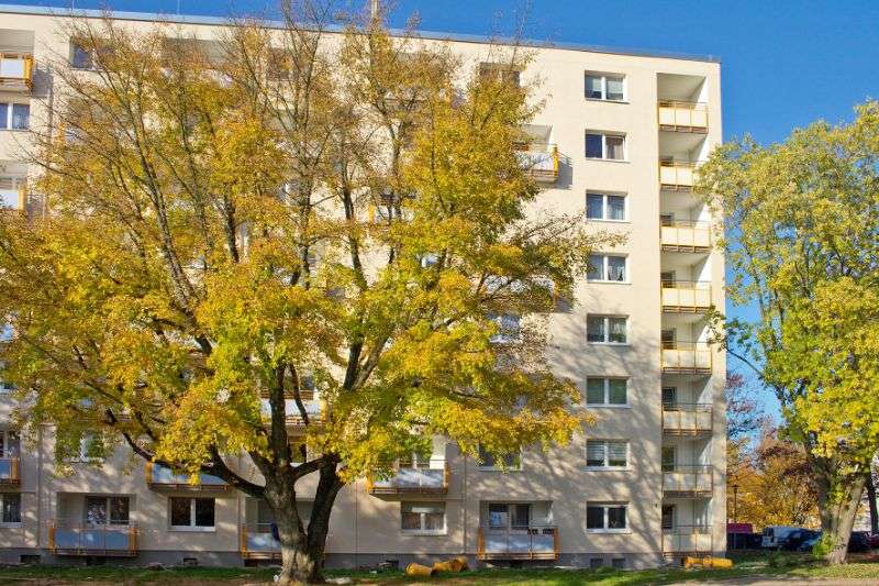 Wohnung zum Mieten in Essen 579 € 64.63 m²