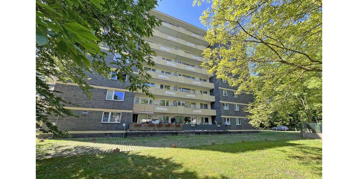 Kerpen-Horrem: EG, 2 Zimmer, riesige Terrasse 2 zimmer