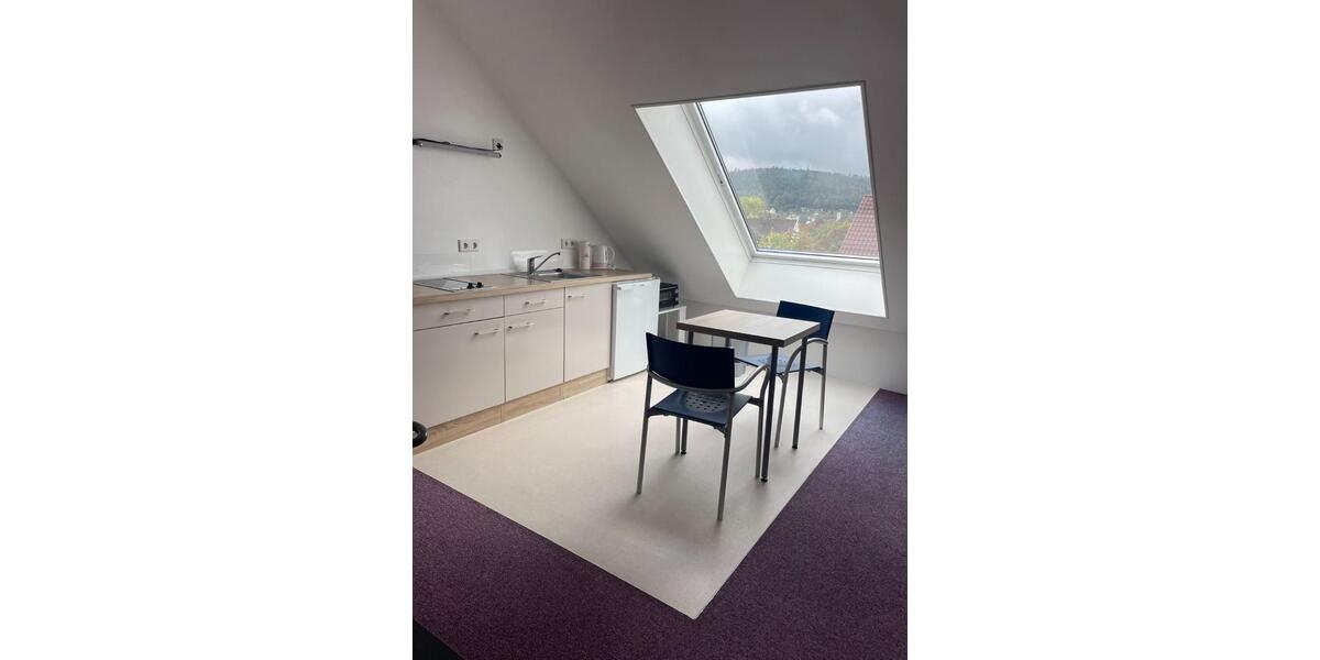 Modernes möbliertes Dachgeschoss-Appartement auf Zeit 1 zimmer