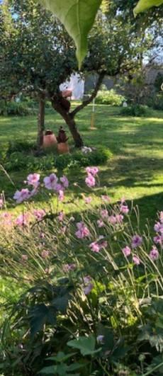 Wohnen auf Zeit Rottenburg am Neckar - 3 Zimmer, 65 m&sup2;, 990&euro; | Angebot:25844004