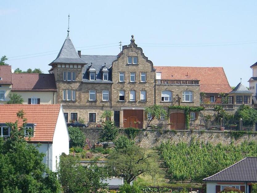 AltbauWohnung mit Blick auf Weinberge und Hambacher Schloss