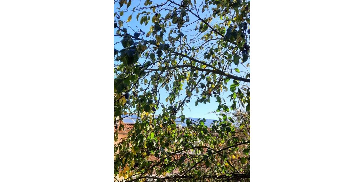 Etagenwohnung Mitterteich - 3 Zimmer, 83 m&sup2;, 590&euro; | Angebot:25823252