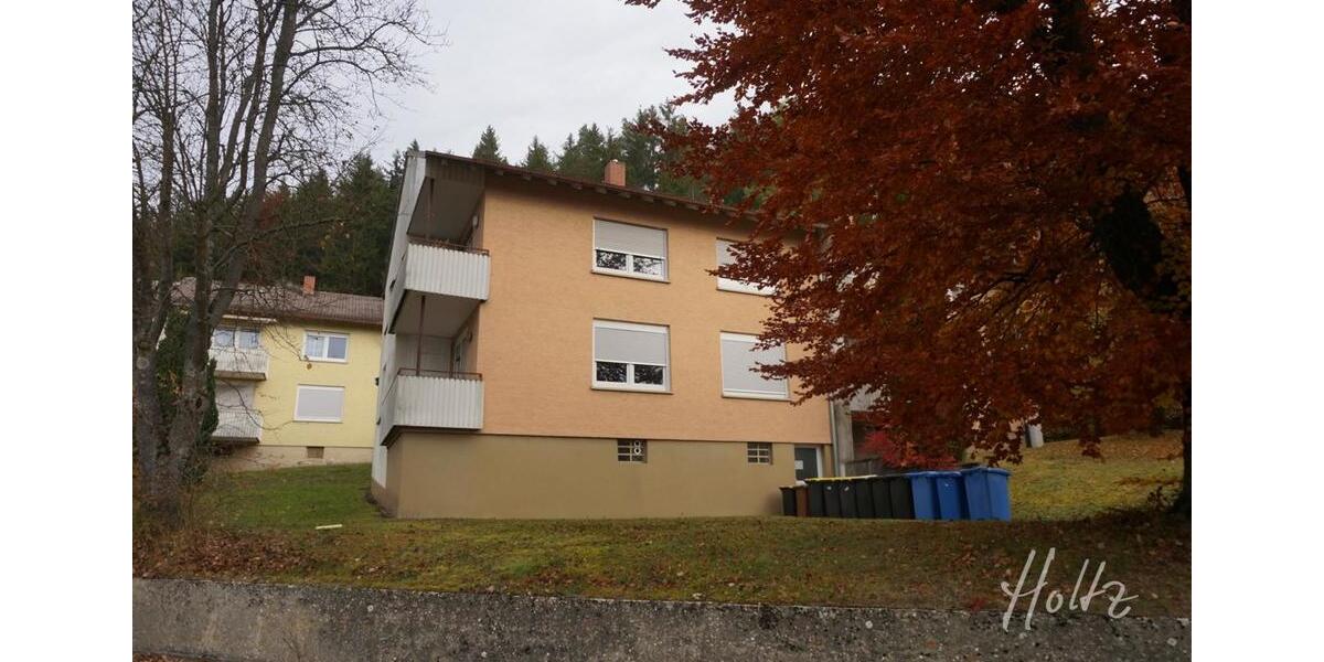 Etagenwohnung Immendingen - 3 Zimmer, 64 m&sup2;, 605&euro; | Angebot:26288184