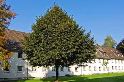 Wohnung zum Mieten in Gelsenkirchen 329 € 46.97 m²