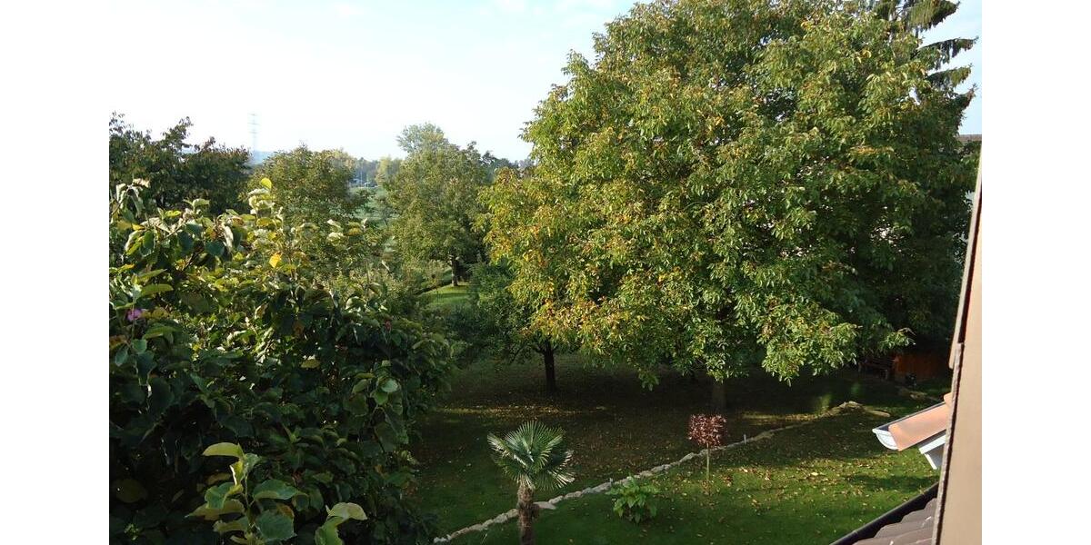 Dachgeschoßwohnung Bad Bellingen - 1.5 Zimmer, 40 m&sup2;, 460&euro; | Angebot:26012912