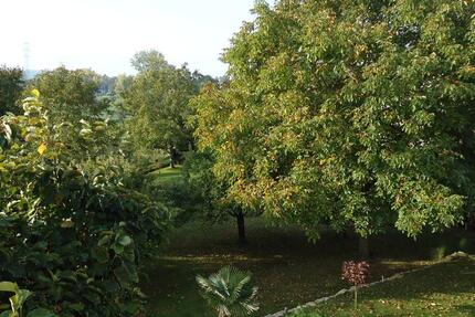 Wohnung Bad Bellingen - 1.5 Zimmer, 40 m&sup2;, 460&euro; | Angebot:26012912