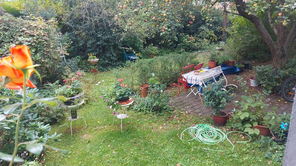 Etagenwohnung Hürth - 1 Zimmer, 55 m&sup2;, 950&euro; | Angebot:24348118