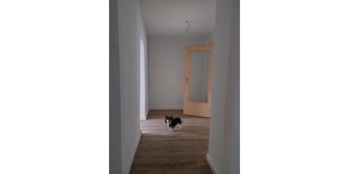 Etagenwohnung Roßwein - 2 Zimmer, 60 m&sup2;, 450&euro; | Angebot:25881003