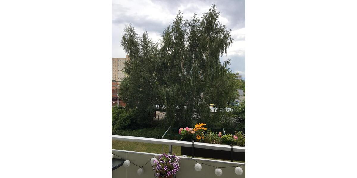 Etagenwohnung Neuenkirchen - 2 Zimmer, 50 m&sup2;, 600&euro; | Angebot:24471520