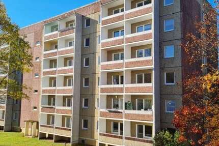 Wohnung zum Mieten in Gera 262 € 34.9 m² 1 zimmer