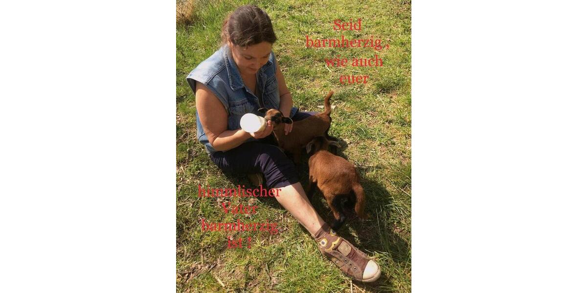 Etagenwohnung Gefell - 1 Zimmer, 20 m&sup2;, 250&euro; | Angebot:24216137