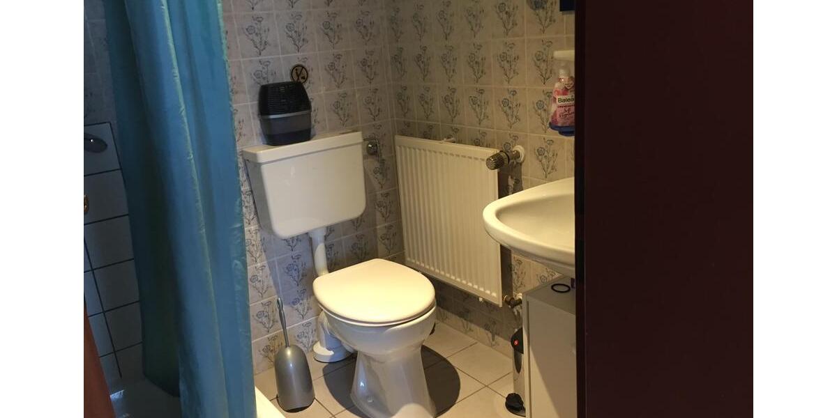 Wohnen auf Zeit Edenkoben - 1 Zimmer, 18 m&sup2;, 370&euro; | Angebot:25616563