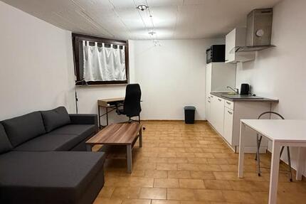 1 Zimmer Apartment für DameStudentin zu vermieten ab Februar 1 zimmer