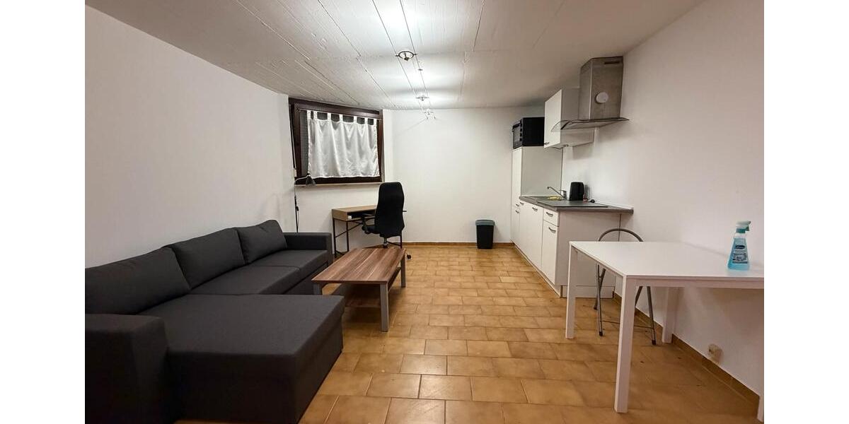 1 Zimmer Apartment für DameStudentin zu vermieten ab Februar 1 zimmer