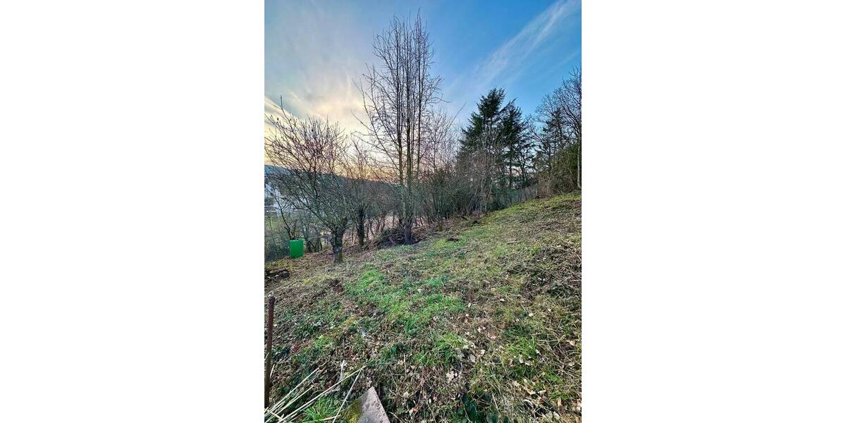 Einfamilienhaus Idar-Oberstein Oberstein - 3 Zimmer, 80 m&sup2;, 750&euro; | Angebot:26258951