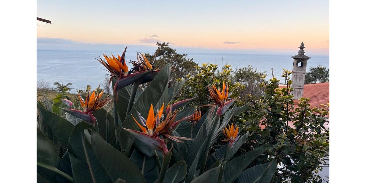 Einfamilienhaus Trier Kürenz - 3 Zimmer, 100 m&sup2;, 1.500&euro; | Angebot:25894623