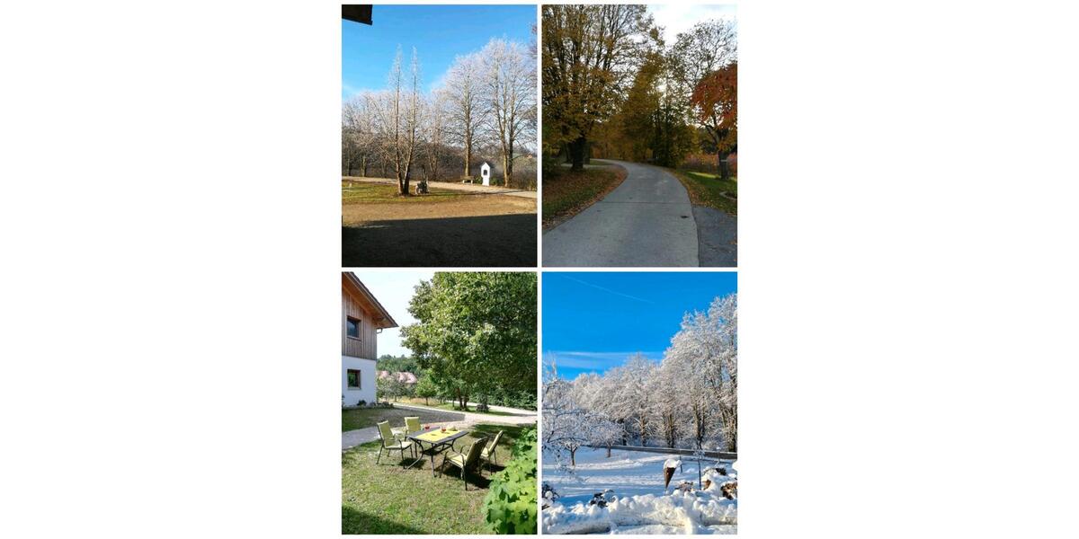 Wohnen auf Zeit Marktl - 1 Zimmer, 25 m&sup2;, 550&euro; | Angebot:25824775