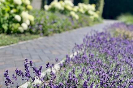 Wohnen auf Zeit Bremen Oberneuland - 1 Zimmer, 290 m&sup2;, 975&euro; | Angebot:25047210