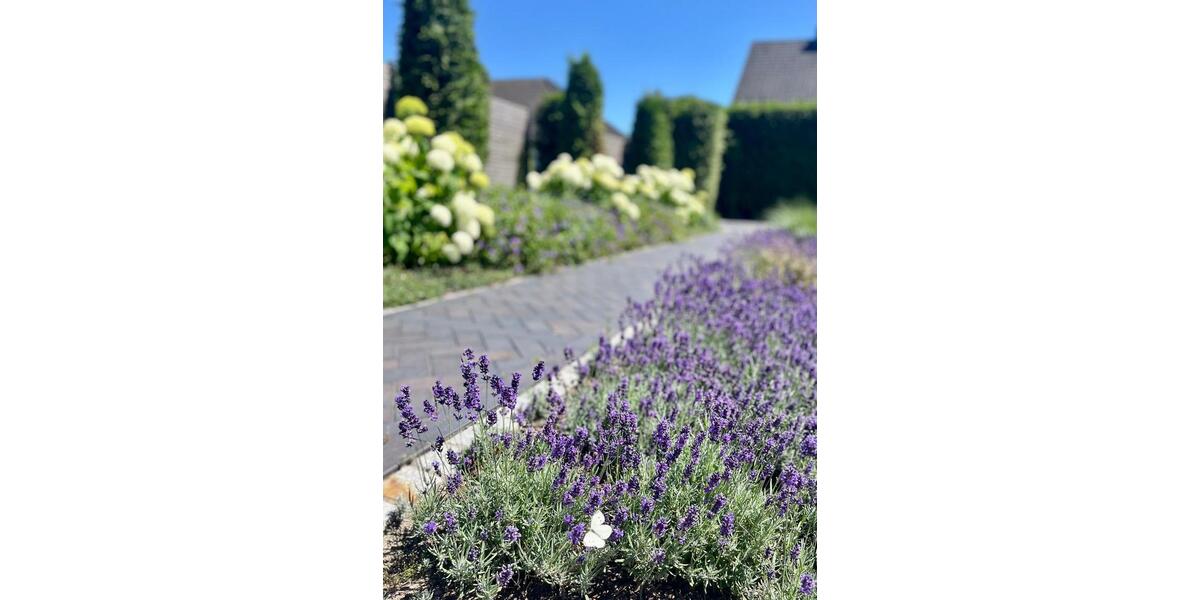 Wohnen auf Zeit Bremen Oberneuland - 1 Zimmer, 290 m&sup2;, 975&euro; | Angebot:25047210