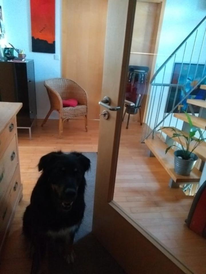 2 teilmöblierte Zimmer zur Untermiete in Einfamilienhaus in Voh