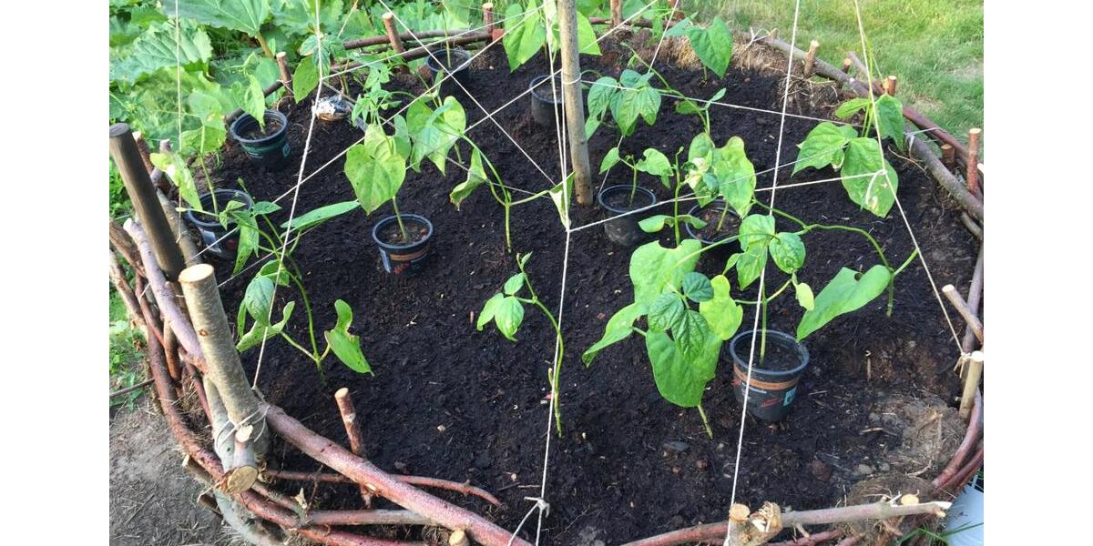 Wohnen auf Zeit Bad Münder am Deister - 1 Zimmer, 32 m&sup2;, 500&euro; | Angebot:25378824