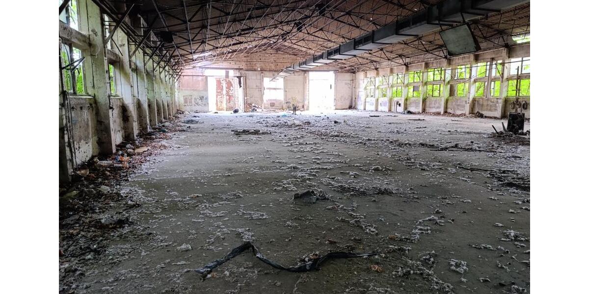 Gewerbeobjekt Kalbe (Milde) - 1.250&euro; | Angebot:24612405