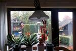 Terrassenwohnung Siegen Dillnhütten - 2 Zimmer, 62 m&sup2;, 700&euro; | Angebot:16056960