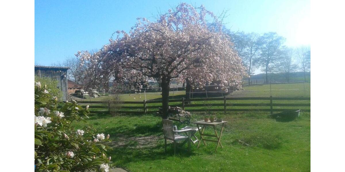 großzügige helle 3Zi.OG Whg. zu vermieten zimmer