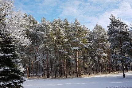 Zimmer im EFH auf dem Land 1.5 zimmer