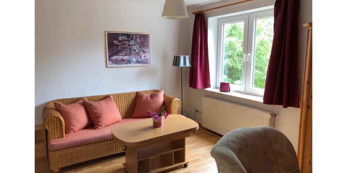 Wohnen auf Zeit Schwerin Altstadt - 1 Zimmer, 45 m&sup2;, 750&euro; | Angebot:26426748