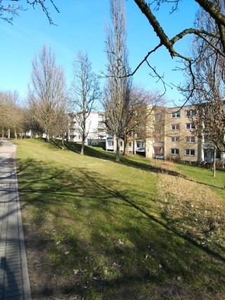 Hell und Freundlich, fast im Grünen und Stadtnah!!! 3 ZKB + Balkon - Frisch renoviert*** zimmer