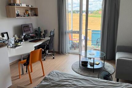 Wohnen auf Zeit Bayreuth Altstadt - 1 Zimmer, 28 m&sup2;, 250&euro; | Angebot:25422403