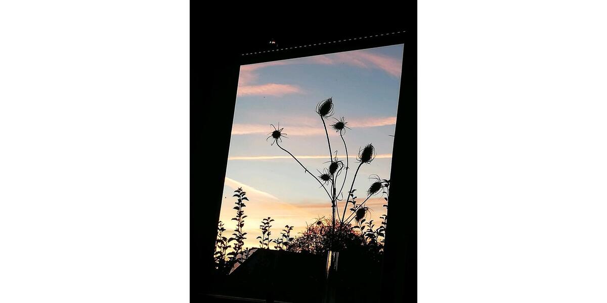 EFH in Kiel - Kroog 3 zimmer