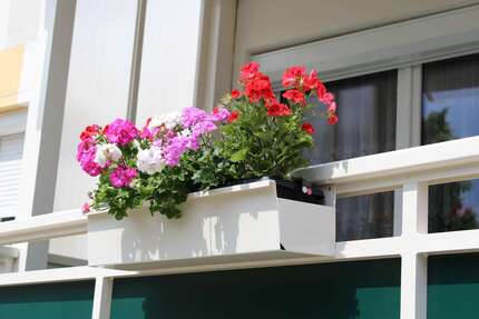 Wohnung zum Mieten in Niesky 295,20 € 41 m² 1 zimmer