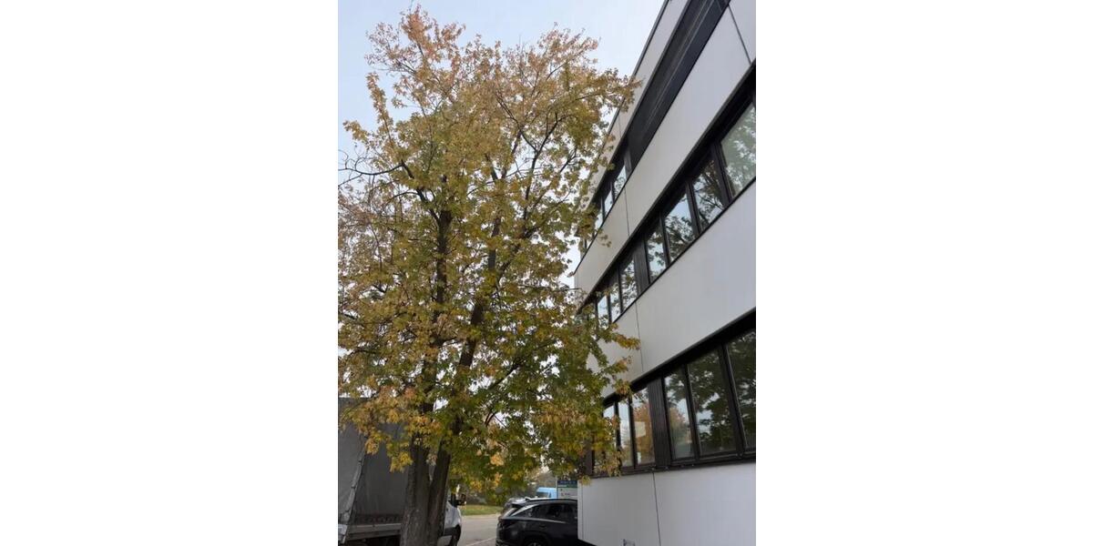 Attraktive Produktionsfläche mit Büros, Bädern und Parkplätzen zimmer