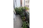 Wohnen auf Zeit Darmstadt Darmstadt-Ost - 1 Zimmer, 16 m&sup2;, 606&euro; | Angebot:26701550