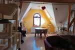 Wohnen auf Zeit Karlsruhe - 5 Zimmer, 136 m&sup2;, 615&euro; | Angebot:26153882