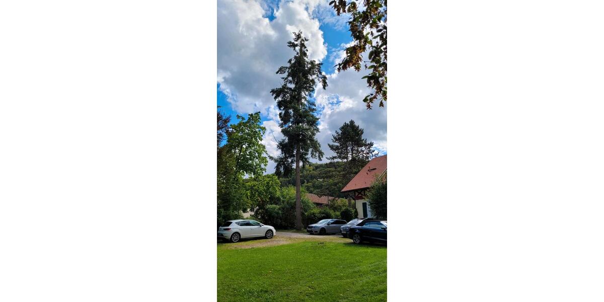 Erdgeschoßwohnung Walting - 3 Zimmer, 90 m&sup2;, 650&euro; | Angebot:24840994