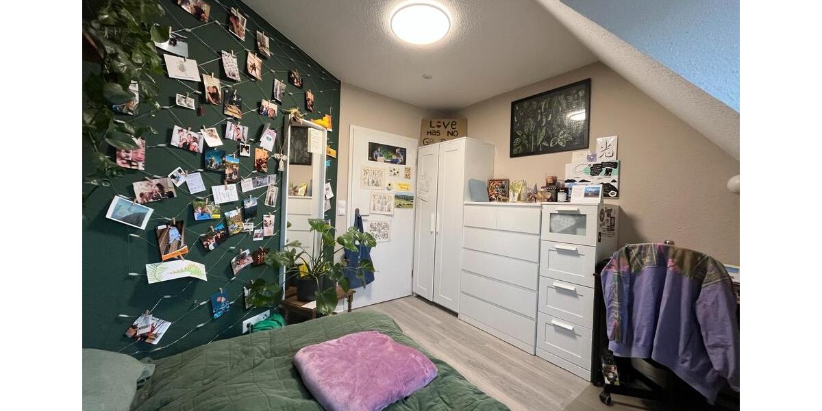 Wohnen auf Zeit Lingen (Ems) Damaschke - 8 Zimmer, 90 m&sup2;, 350&euro; | Angebot:24812053