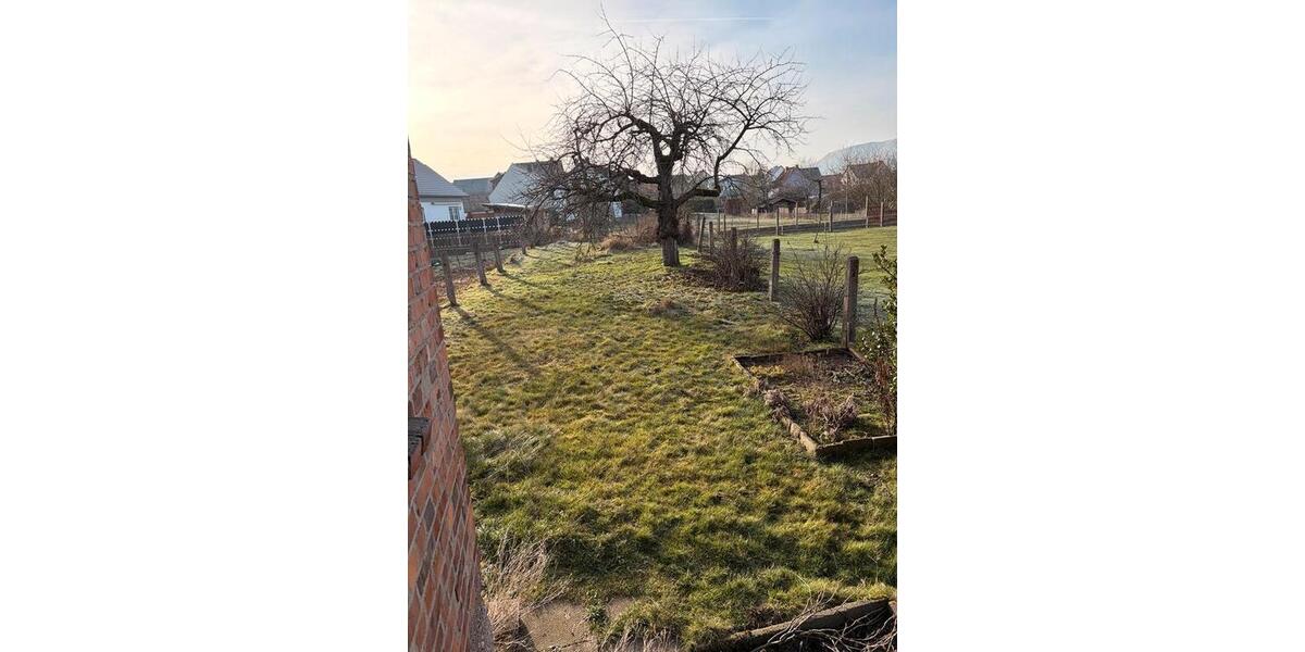 Haus zu vermieten 290qm auch Gewerbe möglich Halle Garten Wohnung 7 zimmer