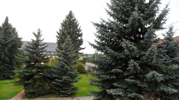 Etagenwohnung Erlau Schweikershain - 4 Zimmer, 70 m&sup2;, 390&euro; | Angebot:25670604