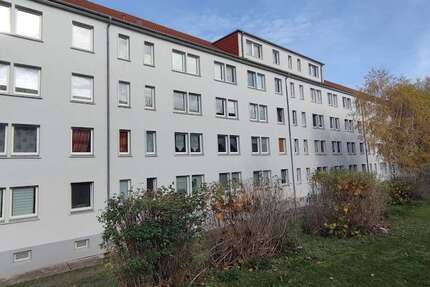 Wohnung Grimma - 2 Zimmer, 47 m&sup2;, 307&euro; | Angebot:27068733
