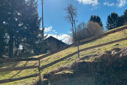 Wohnung Fluorn-Winzeln Winzeln - 2 Zimmer, 64 m&sup2;, 535&euro; | Angebot:25291297