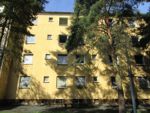 Renovierte, gemütliche 2,5-Zi.-Wohnung ab sofort frei