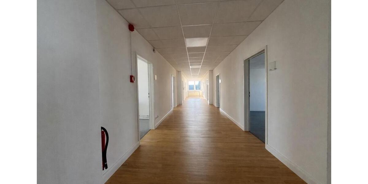 Gewerbeobjekt Reilingen - 80&euro; | Angebot:25891592