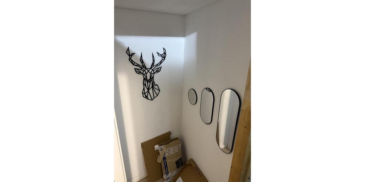 Wohnen auf Zeit Apolda - 1 Zimmer, 103 m&sup2;, 295&euro; | Angebot:25719031